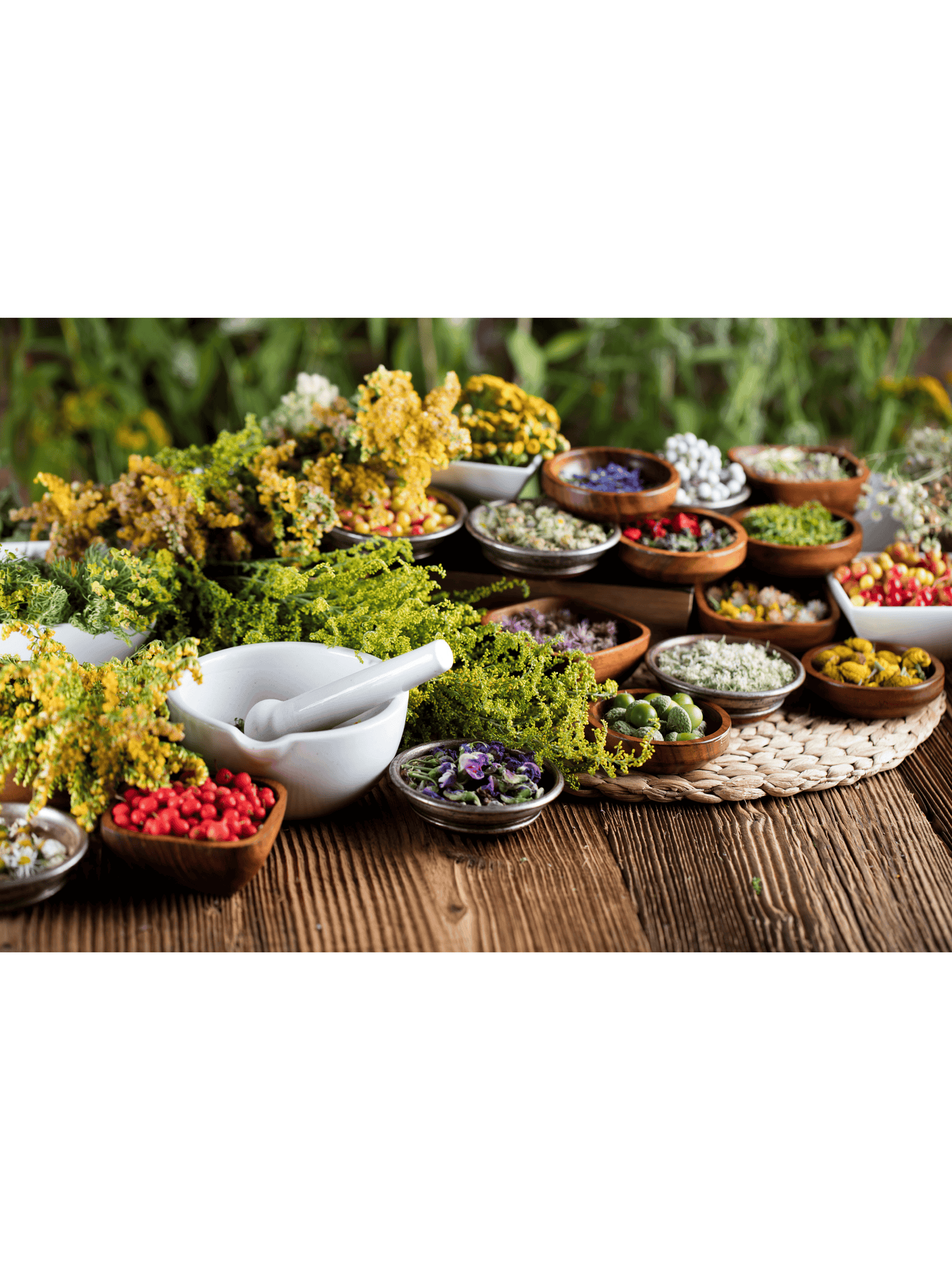 Complete Parasite Binder Kit