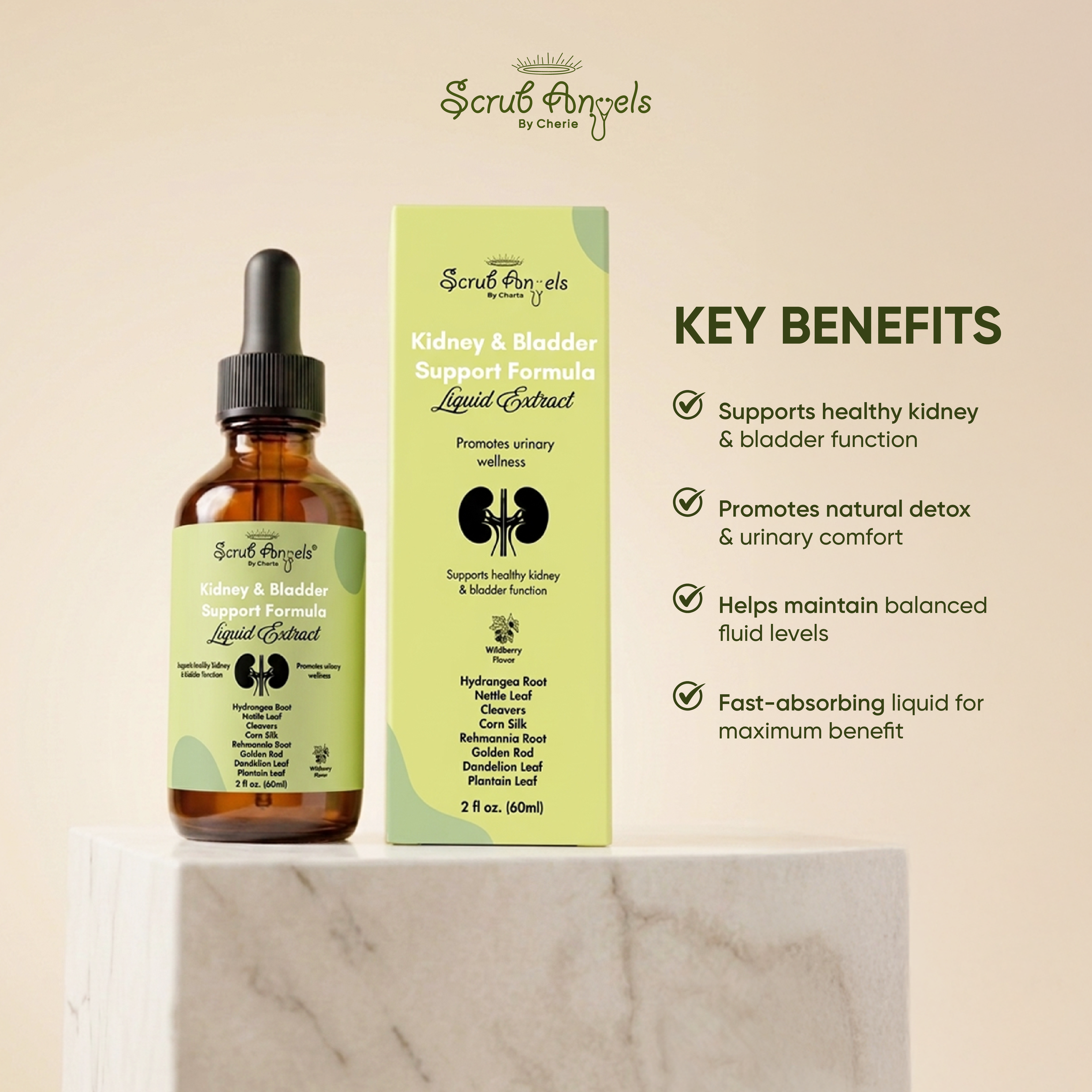 Kidney & Bladder Support Formula – Liquid Extract