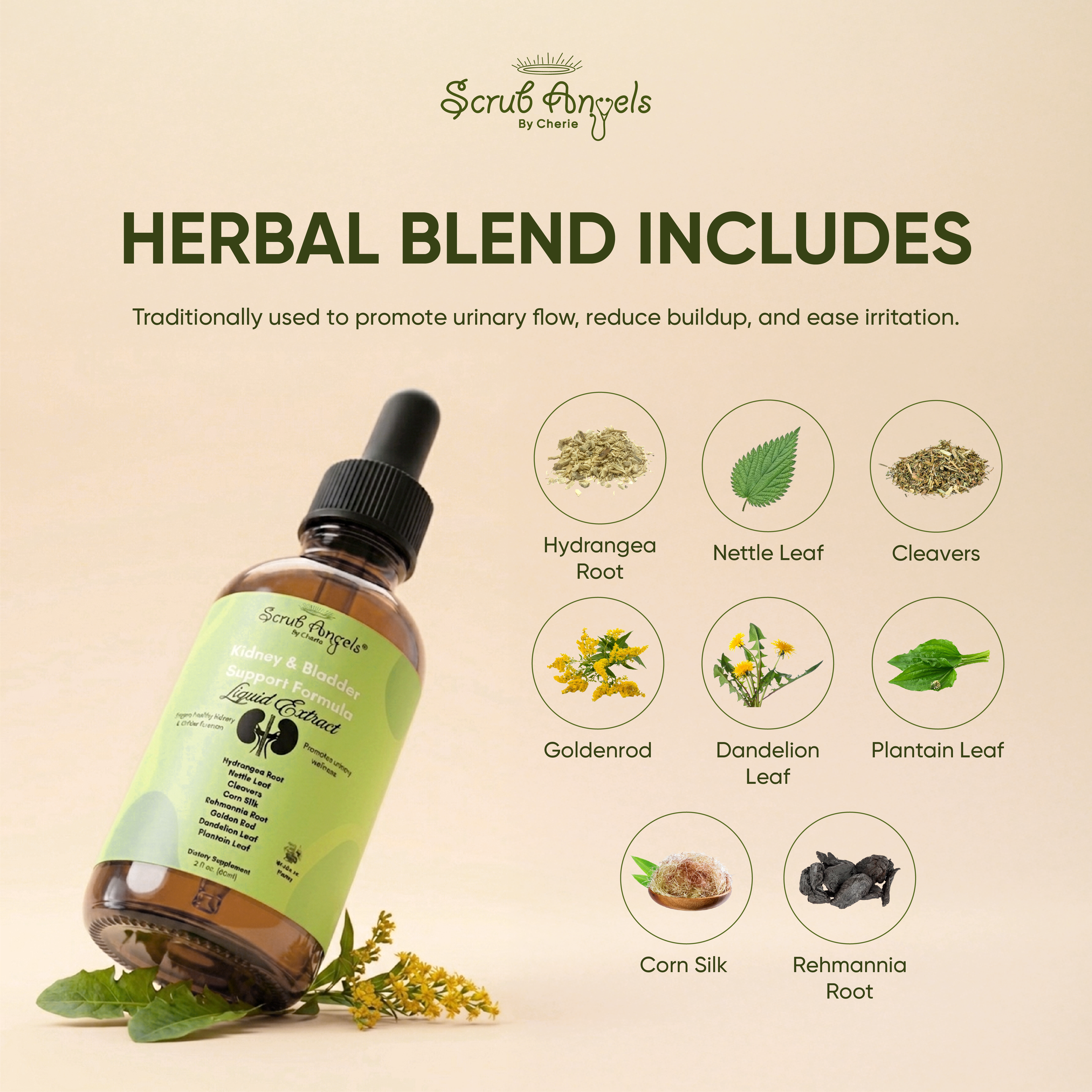 Kidney & Bladder Support Formula – Liquid Extract – Scrub Angels