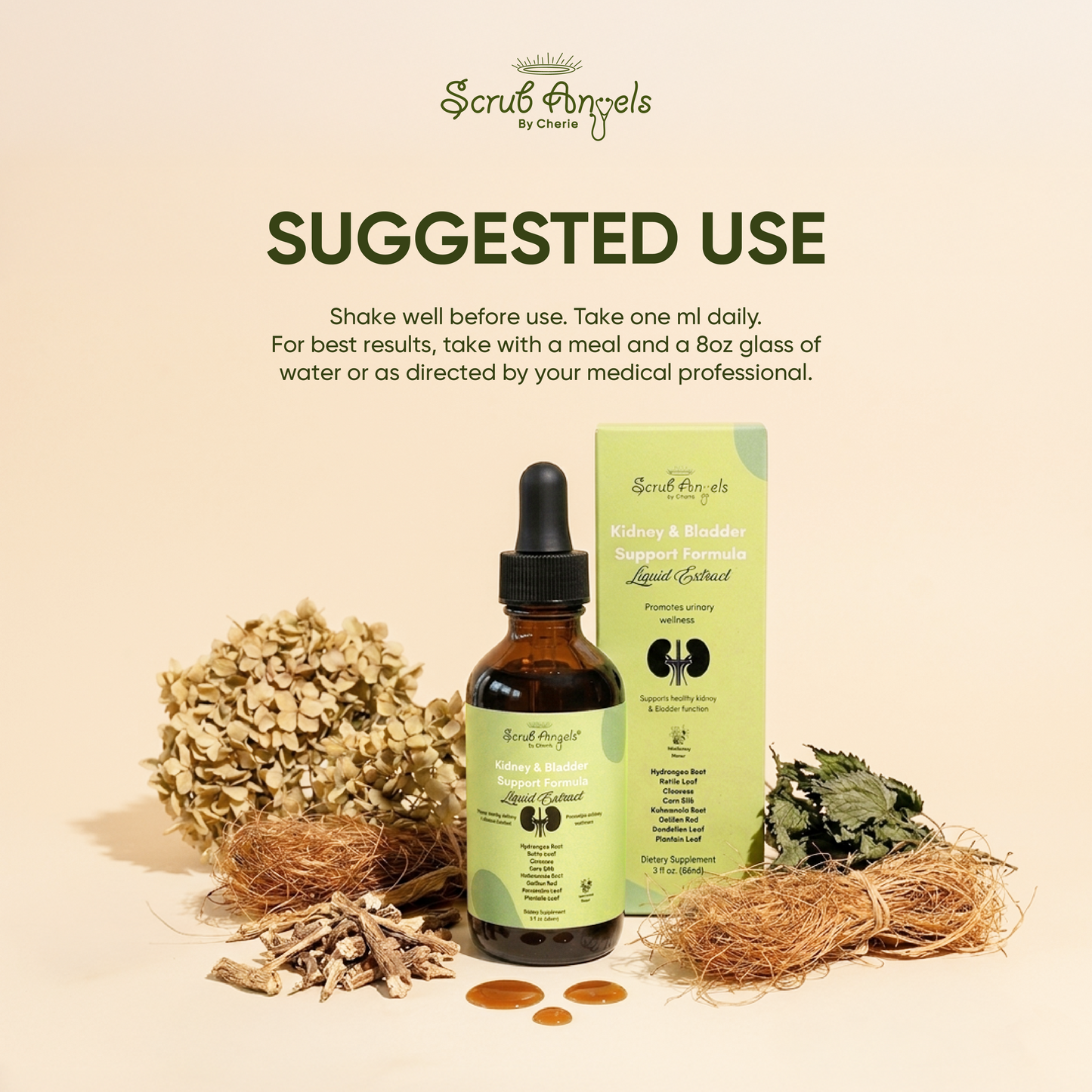 Kidney & Bladder Support Formula – Liquid Extract