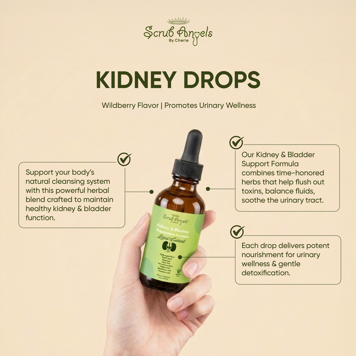 Kidney & Bladder Support Formula – Liquid Extract