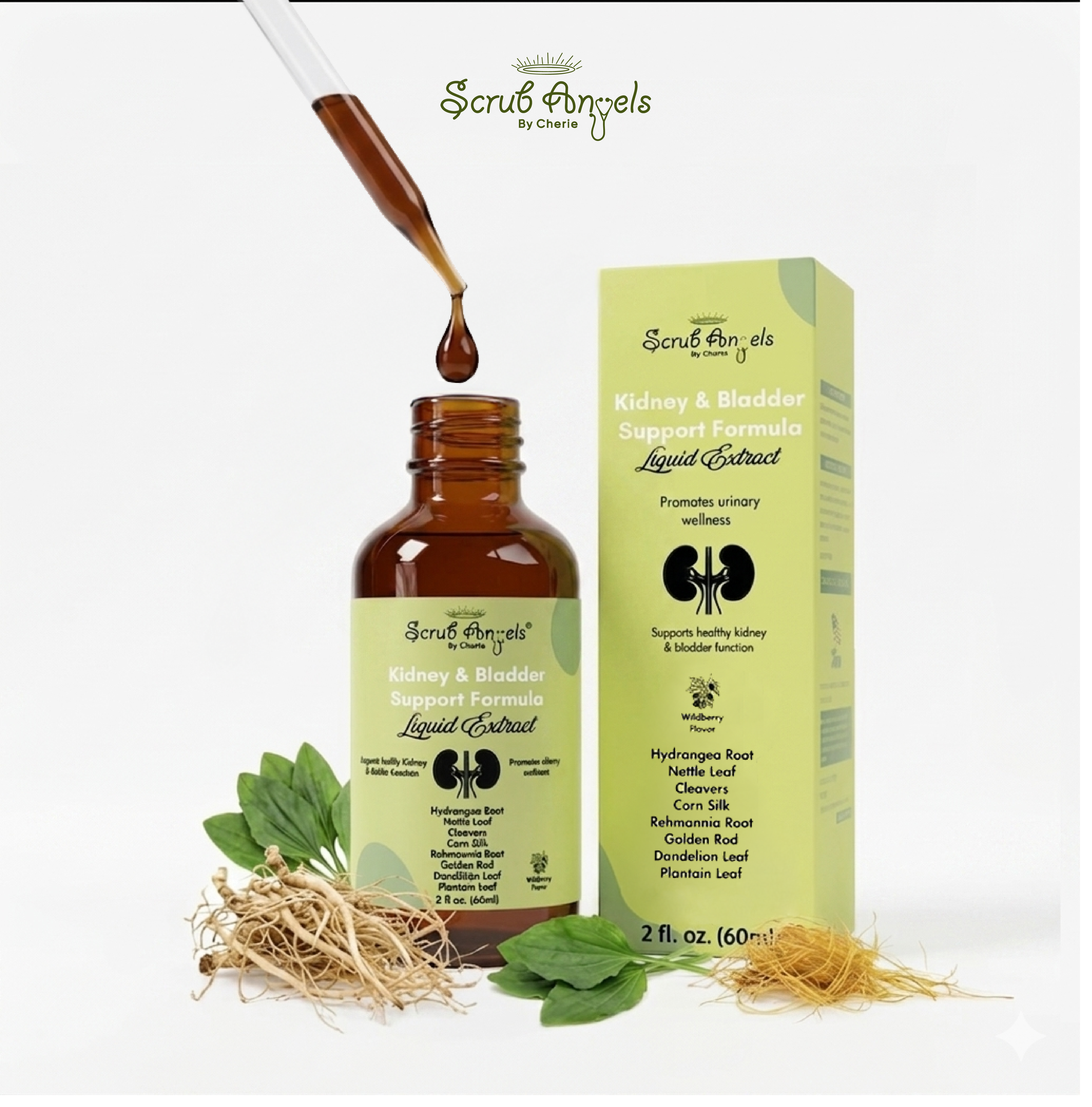 Kidney & Bladder Support Formula – Liquid Extract – Scrub Angels